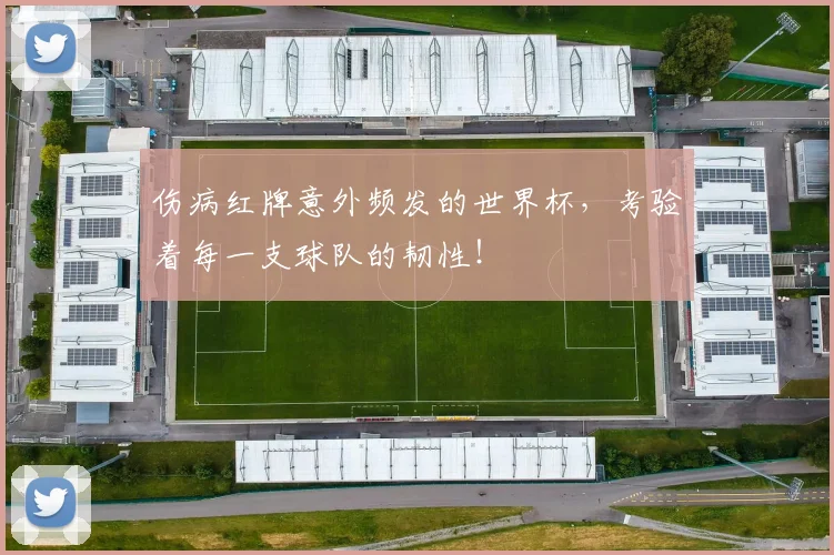 伤病红牌意外频发的世界杯，考验着每一支球队的韧性！